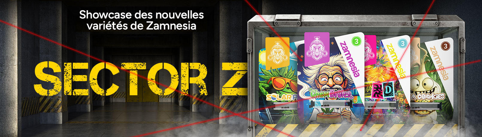 FRnzss_offer_2