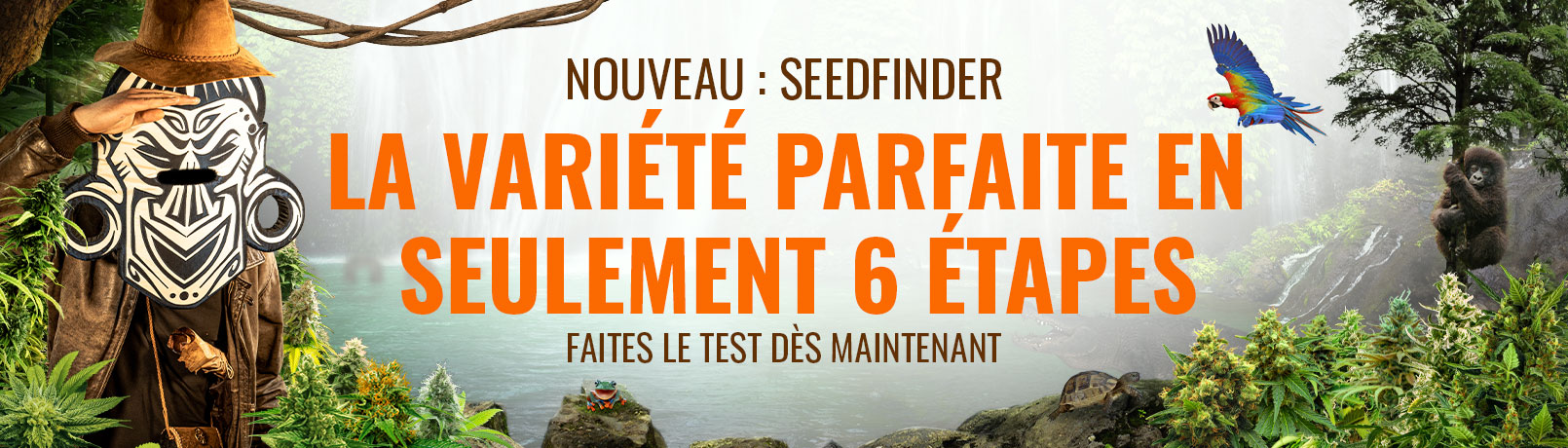 Seedfinder Current Offer Banner FR_offer