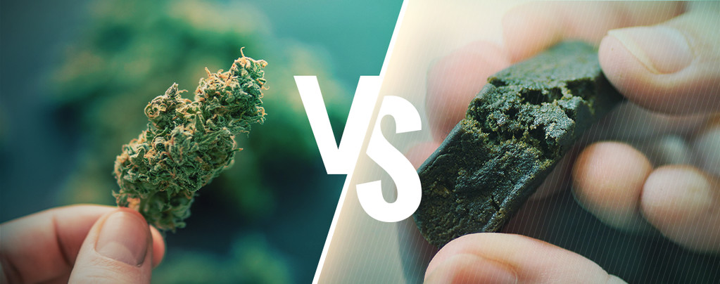 La Différence Entre Cannabis Et Hasch