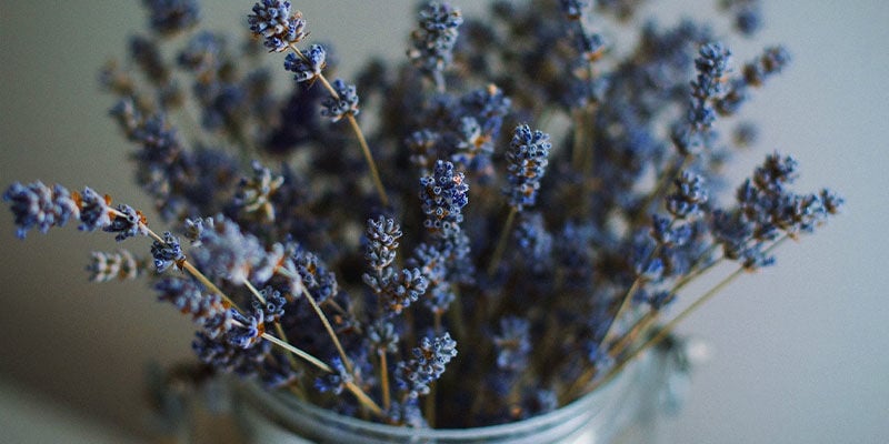 Herbes & graines