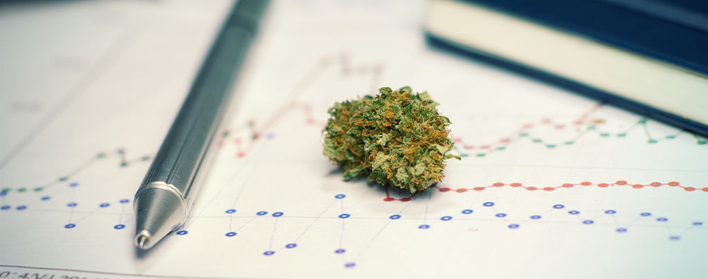 Cannabis Pour Étudier