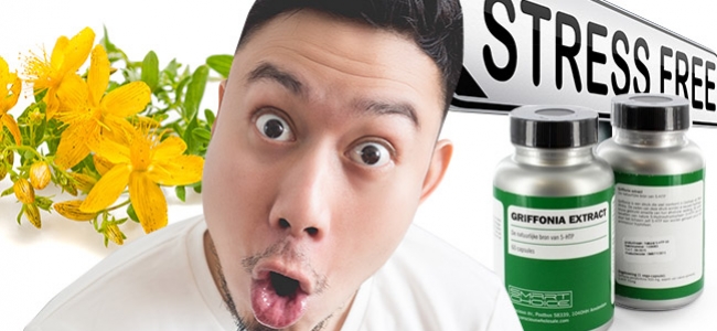 Combiner Millepertuis et 5-HTP