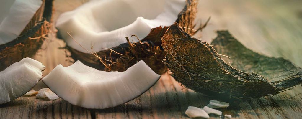 Peut-On Réutiliser La Fibre De Coco ?