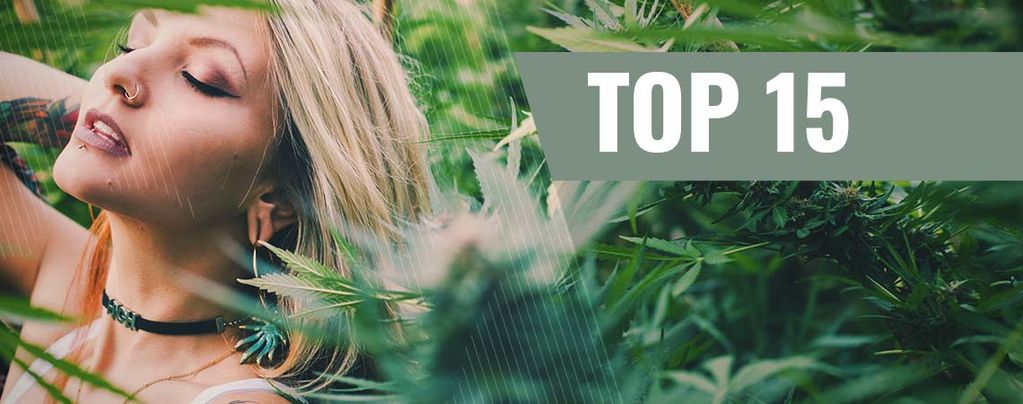 Top 15 Des Influenceuses Du Cannabis Sur Instagram [2021]