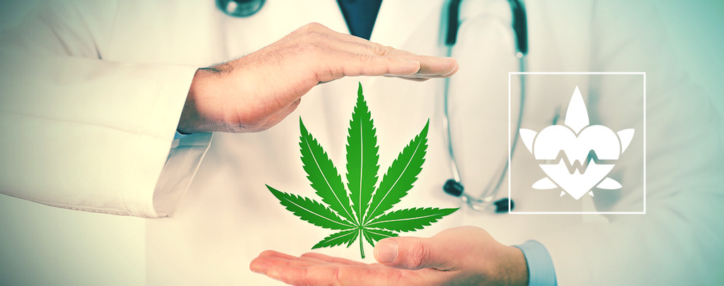  La Meilleure Façon De Consommer Du Cannabis Thérapeutique