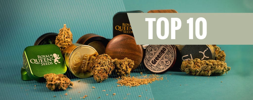 Top 10 Des Grinders