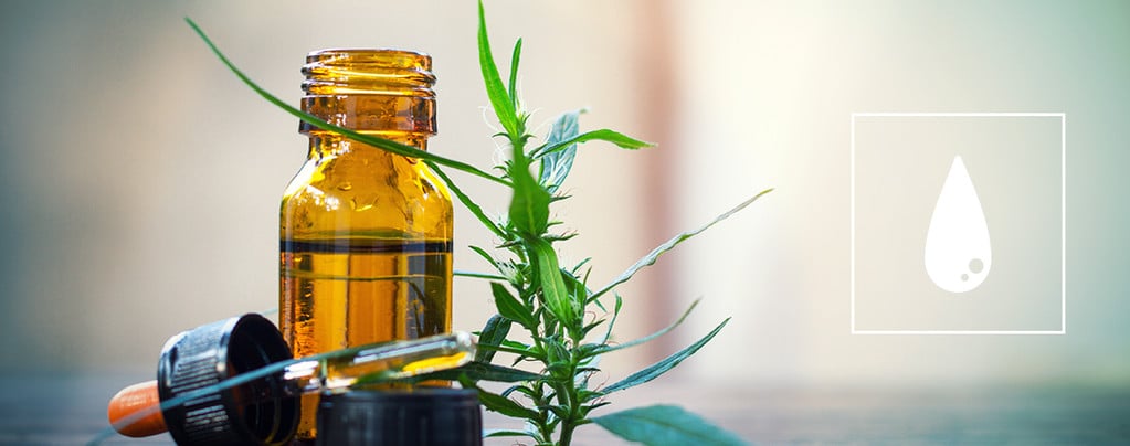 Guide Complet Sur L’Huile De Cannabis Extraite Au CO₂