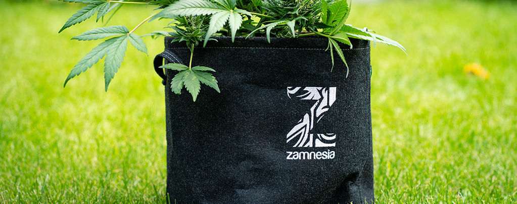 C'est Quoi Un Smart Pot, Comment Faire Le Vôtre