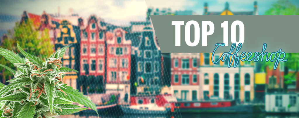 Top 15 Des Meilleurs Coffeeshops d'Amsterdam En 2018