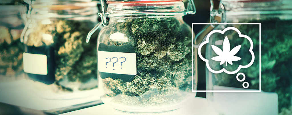 Comment Devrions-nous Nommer Les Variétés De Cannabis Dans Le Futur ?