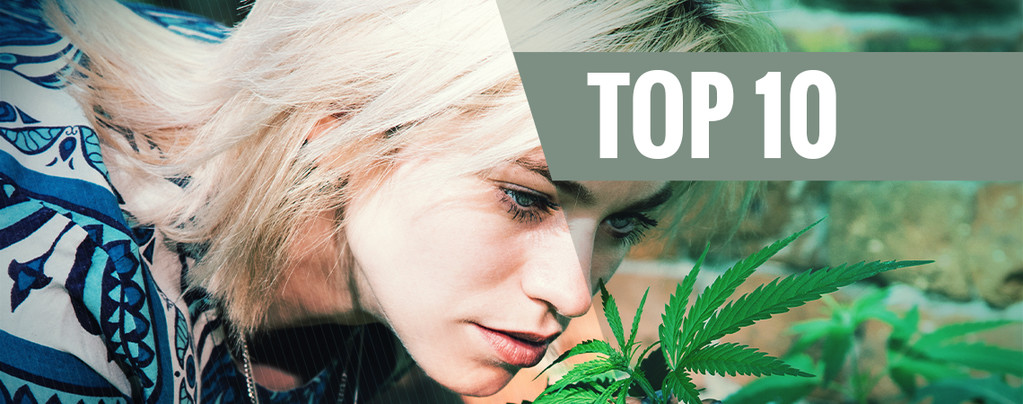 Top 10 des variétés de cannabis