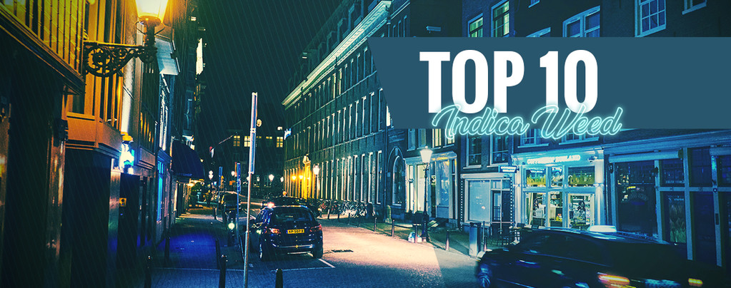 Top 10 Des Coffeeshops D'Amsterdam Avec Les Meilleures Indica