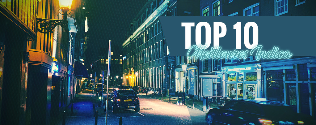 Top 10 Des Coffeeshops D'Amsterdam Avec Les Meilleures Indica