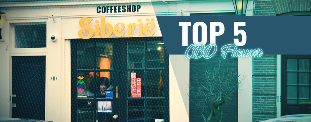 Top 5 Des Coffeeshops Pour Des Fleurs CBD