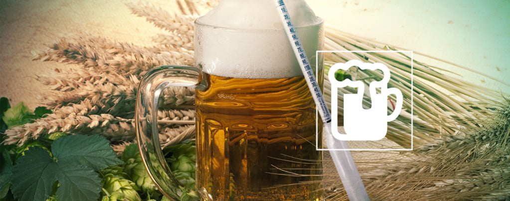 Hydromètre Vinoferm : 3 Échelles (Bière)