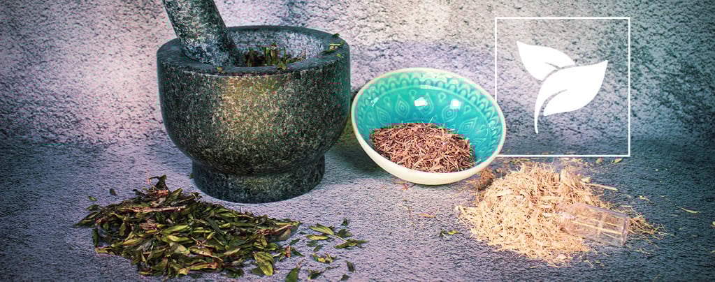 Herbes & Graines