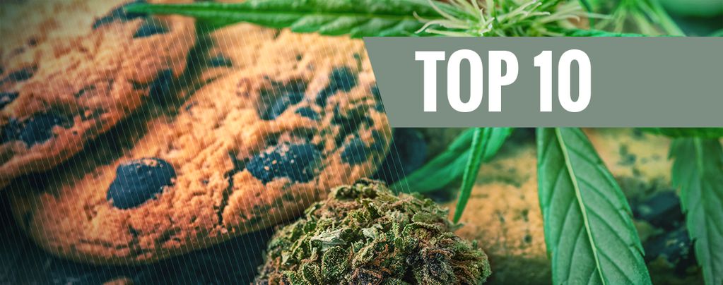 Top 10 Des Erreurs En Cuisinant Avec Du Cannabis