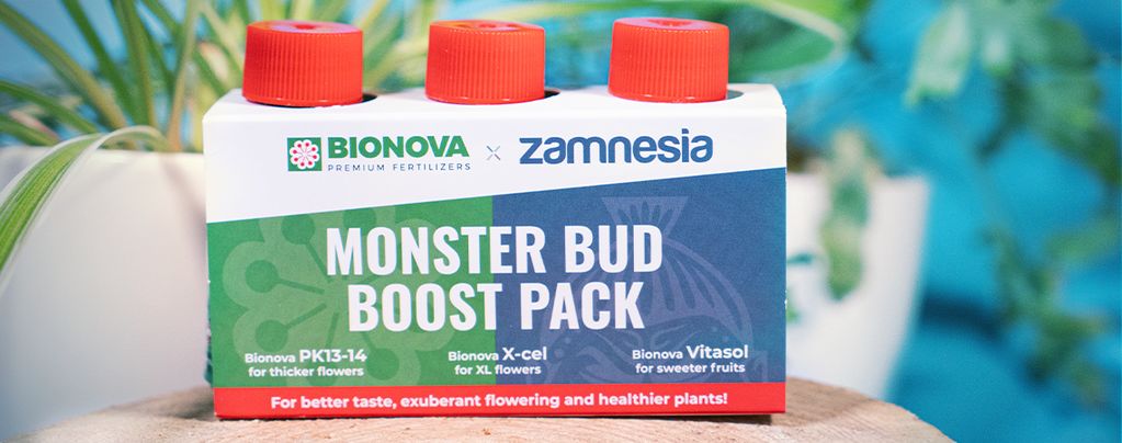 Utilisez Le Pack Monster Bud Boost Pour Obtenir Des Têtes Gargantuesques