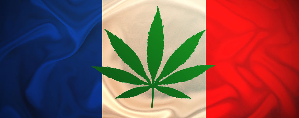 La France Va Offrir Gratuitement Du Cannabis En 2021