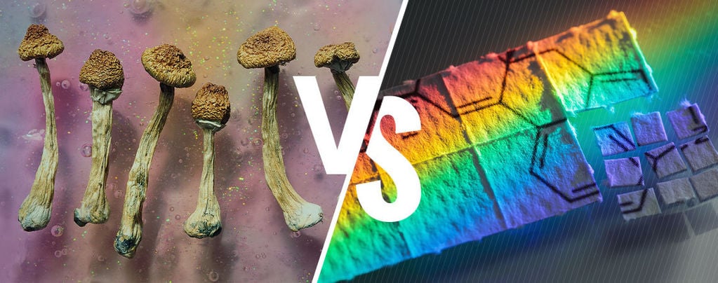 Champignons Magiques Ou LSD : Quelle Différence ?