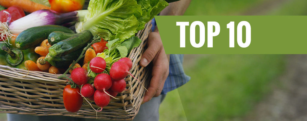 Top 10 Des Légumes Les Plus Faciles À Cultiver