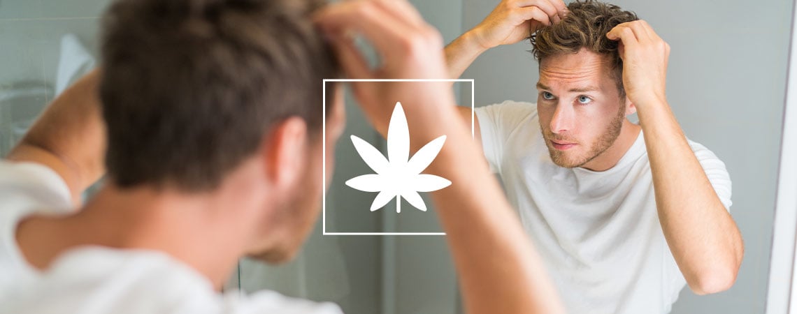 L'Impact Du Cannabis Sur Les Cheveux