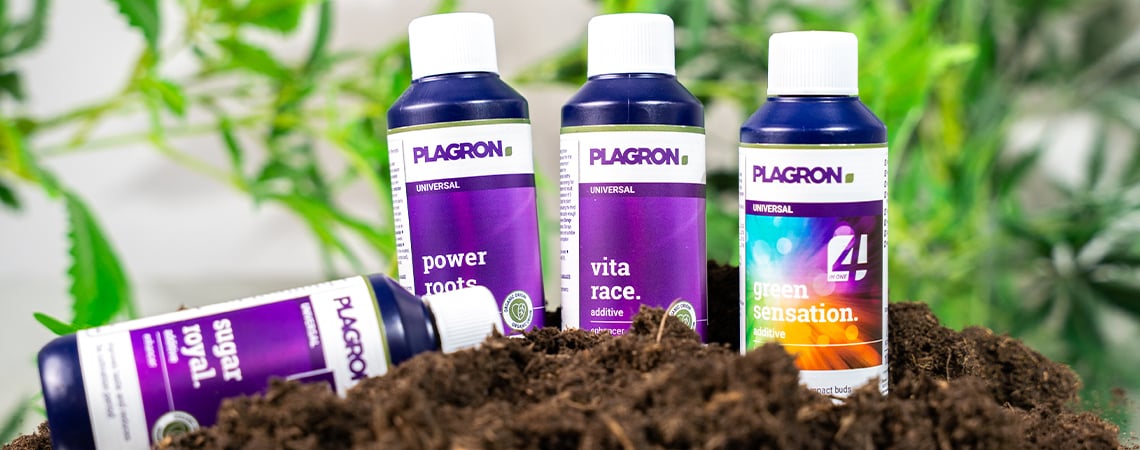 Meilleurs engrais organiques pour la culture de cannabis