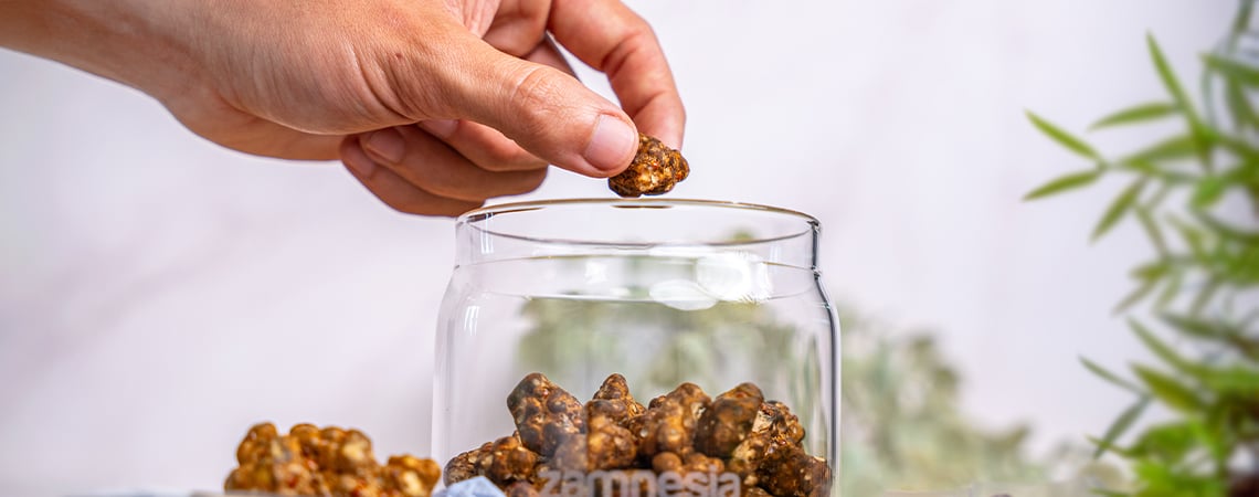 Comment conserver les truffes magiques ?