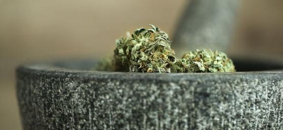10 Façons D’effriter Le Cannabis Sans Grinder [Mise À Jour 2025]