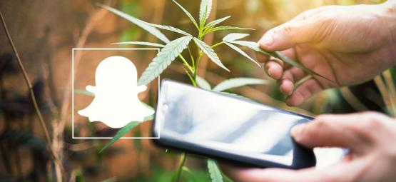 9 Comptes Cannabis À Suivre Sur Snapchat