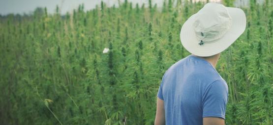Le Célèbre Pionnier Du Cannabis Franco Loja Est Décédé À L'âge De 42 ans