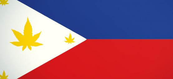 Lois Sur Les Drogues Aux Philippines