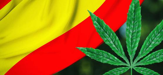 La Réglementation Se Propage: Bilbao En Espagne Prête À Réglementer Les Cannabis Clubs
