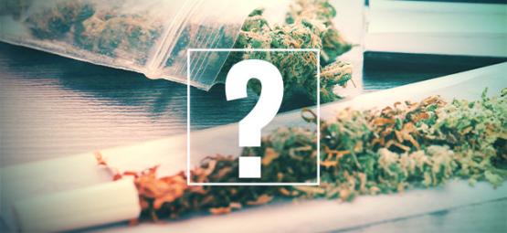 Joints, Blunts Et Spliffs : Quelle Est La Différence ?