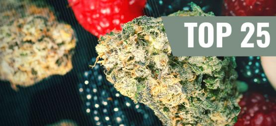 Top 25 Des Variétés De Cannabis Fruitées [2025]