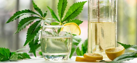 Comment Faire Un GinJah : Un Gin N' Tonic Infusé Au Cannabis