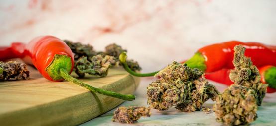Les Bienfaits Surprenants Du Mélange Du Cannabis Et Des Piments