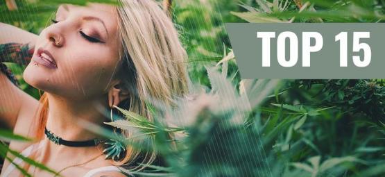 Top 15 Des Influenceuses Du Cannabis Sur Instagram [2024]