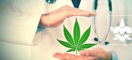 Quelle Est La Meilleure Façon De Consommer Du Cannabis Thérapeutique ?