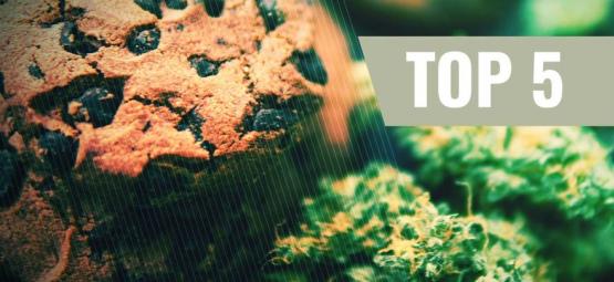 Top 5 Recettes De Biscuits Au Cannabis