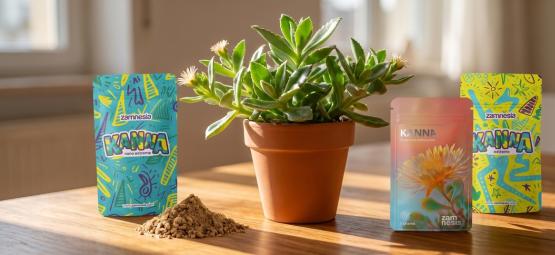 Quelle Est La Meilleure Façon De Consommer Du Kanna ?