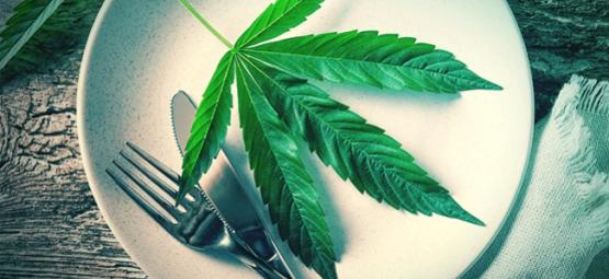 La Feuille De Cannabis Crue : Un Super-Aliment ?