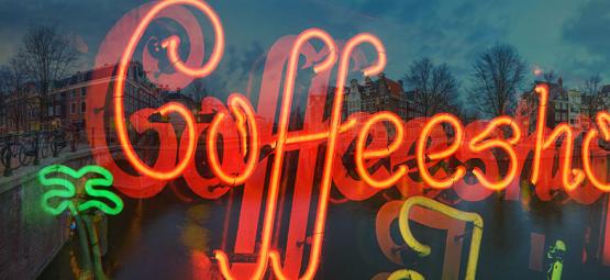Visites De Zamnesia Dans Les Coffeeshops D’Amsterdam