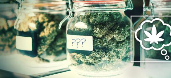 Comment Devrions-Nous Nommer Les Variétés De Cannabis Dans Le Futur ?