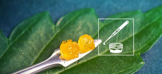 Tout Ce Qu'Il Faut Savoir Sur La Live Resin