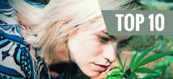 Top 10 Des Variétés De Cannabis À Faible Parfum Pour Minimiser L'Odeur