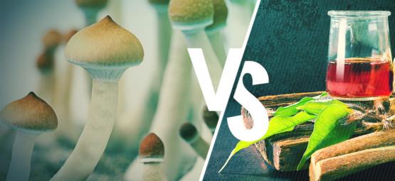 Ayahuasca Vs Champignons Magiques : Quelle Est La Différence ? 