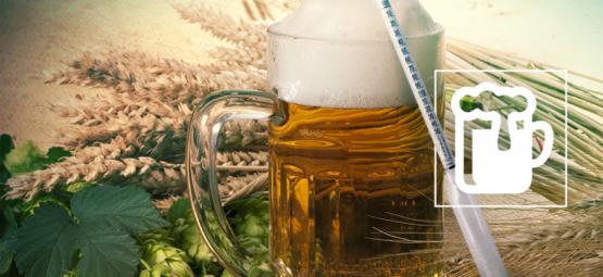 Comprendre L'Hydromètre : Le Secret Du Brassage D'Une Bonne Bière