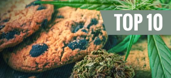 Top 10 Des Erreurs En Cuisinant Avec Du Cannabis (Et Comment Les Éviter)