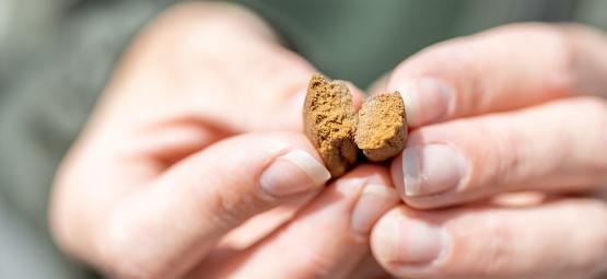 Comment Reconnaitre Un Hasch De Bonne Qualité